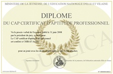 Esempio di certificato di idoneità professionale francese